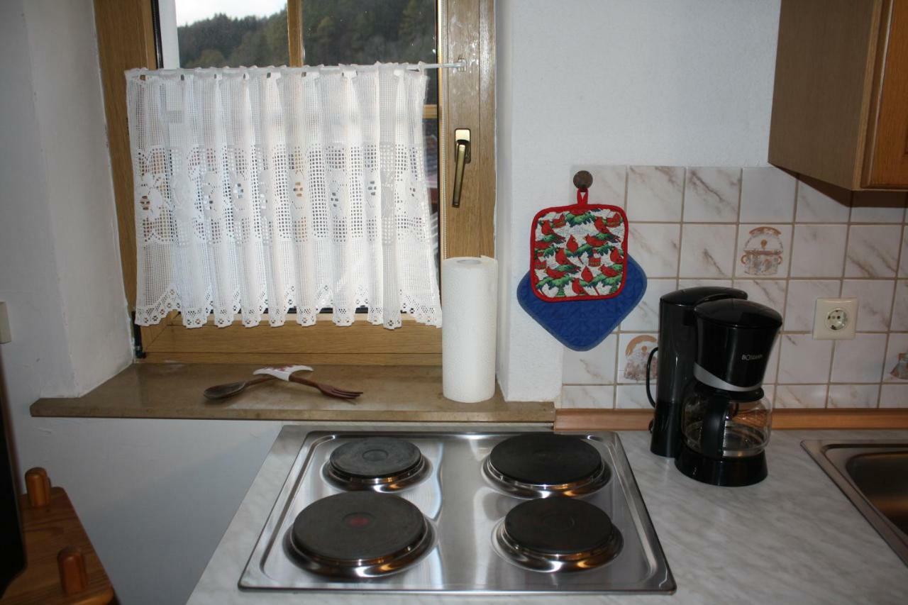 Ferienwohnung Eva Und Alexander Hirschbach  Kültér fotó